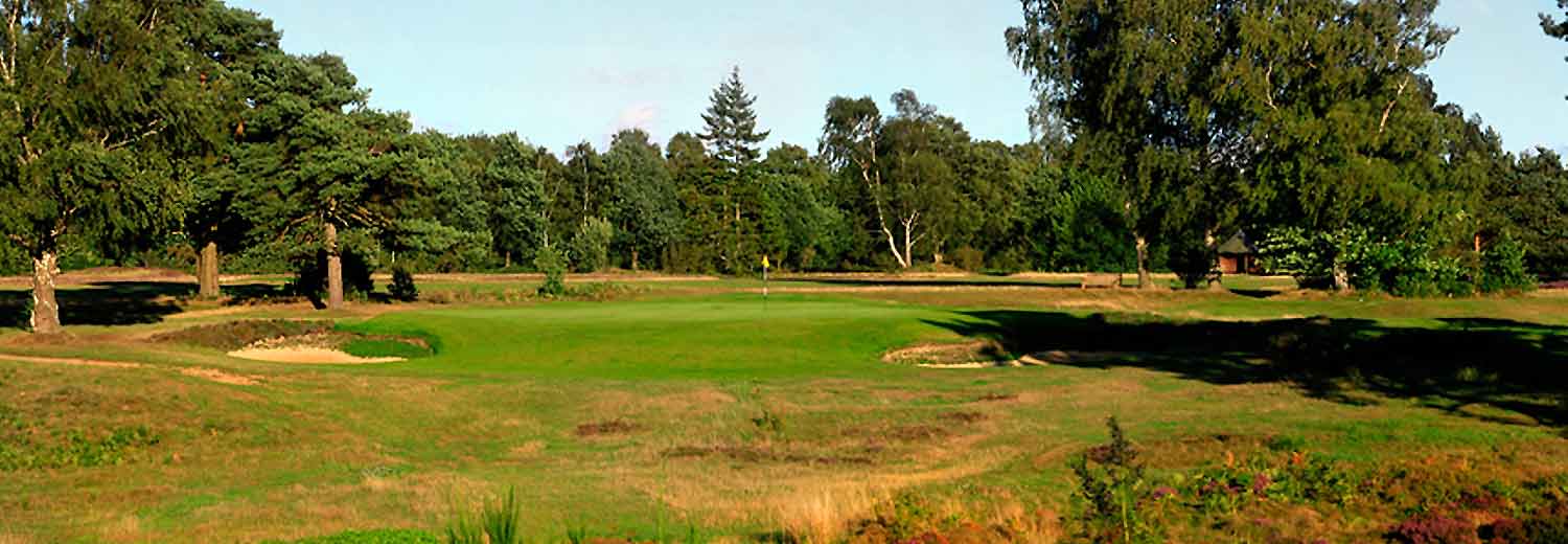 destillation lærer indsats Walton Heath Golf Club | Golf England | Links Golf St Andrews